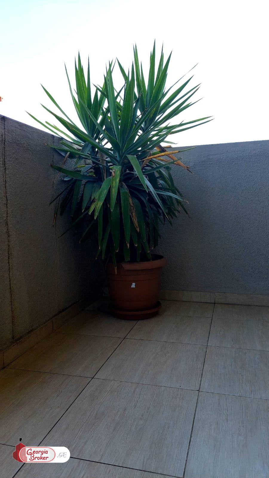 იყიდება ახალი გარემონტებული 4 ოთახიანი ბინა საბურთალოზე